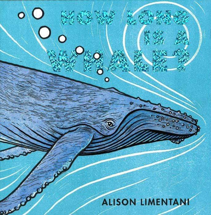 How Long Is A Whale?