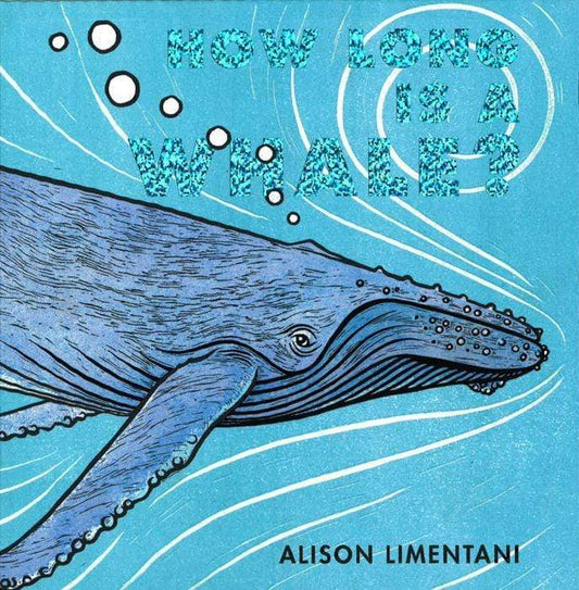 How Long Is A Whale?