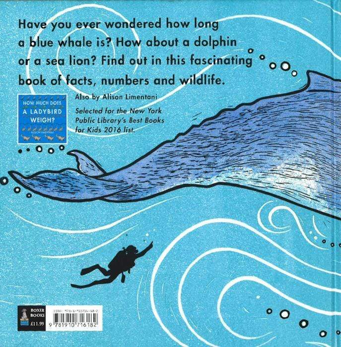 How Long Is A Whale?