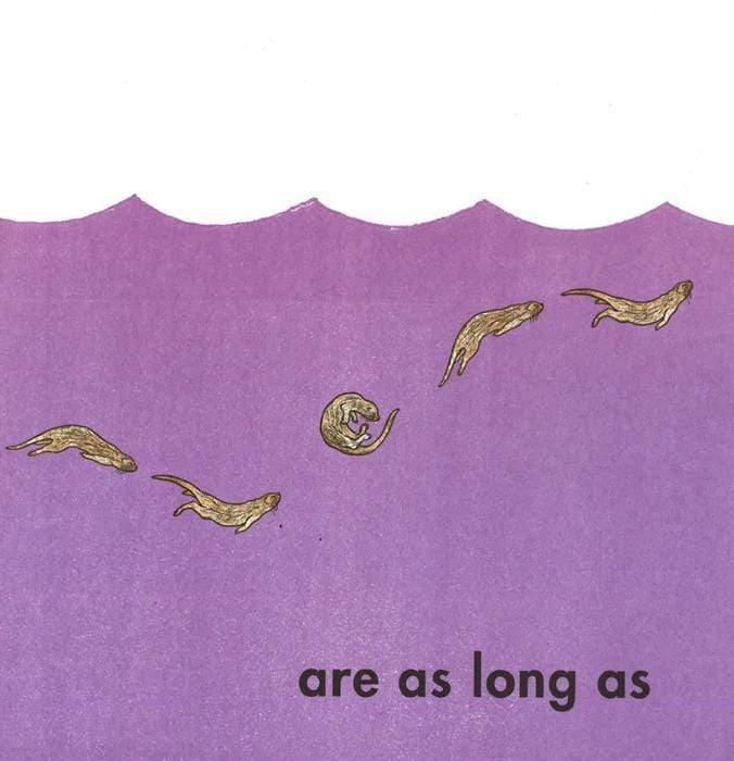 How Long Is A Whale?