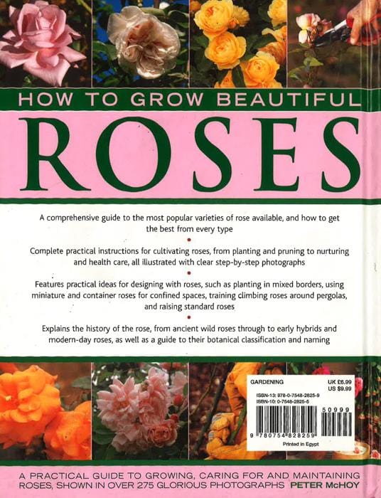 How To Grow Beautiful Roses: A Practical Guide To Growing, Caring For ...