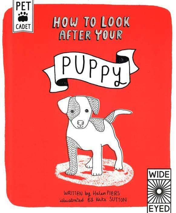 How to Look After Your Puppy