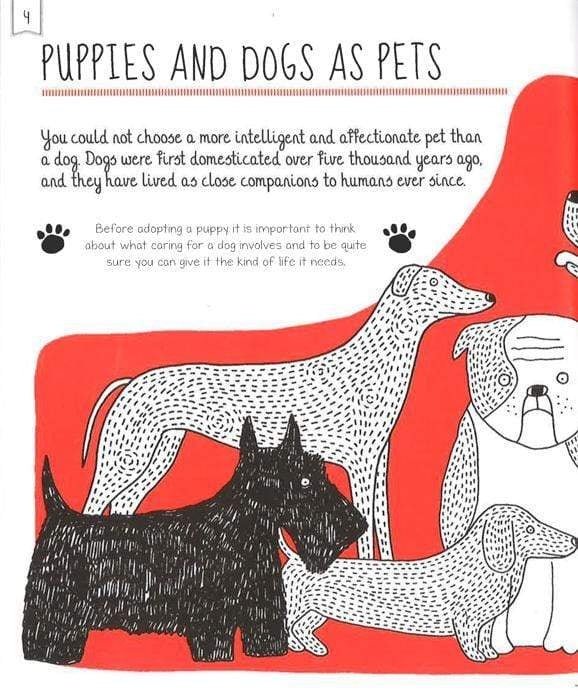 How to Look After Your Puppy