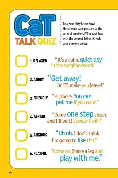 How to Speak Cat: A Guide to Decoding Cat Language