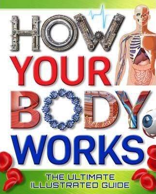 How Your Body Works