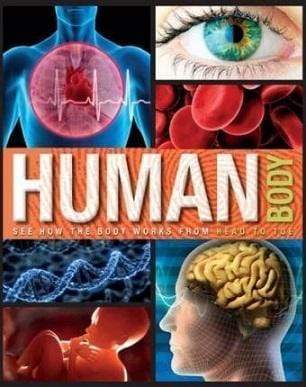 Human Body