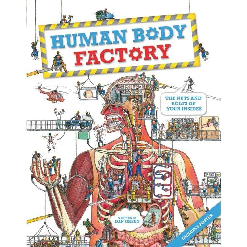 Human Body Factory : The Nuts and Bolts of Your Insides