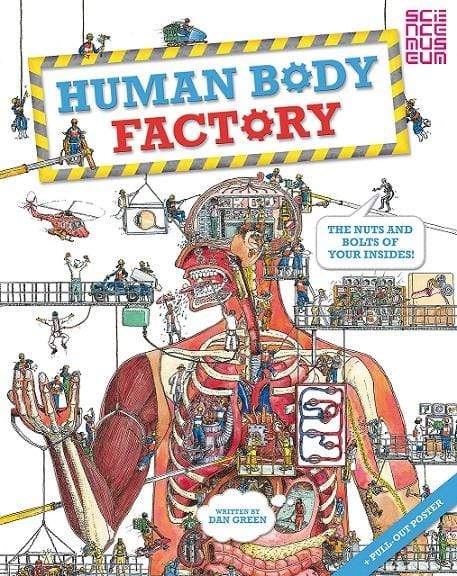 Human Body Factory: The Nuts and Bolts of Your Insides