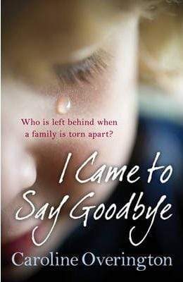 I Came To Say Goodbye