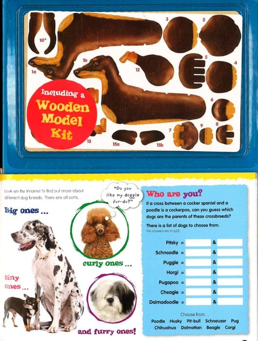 I Love Puppies: How To Look After And Understand Your Pet!