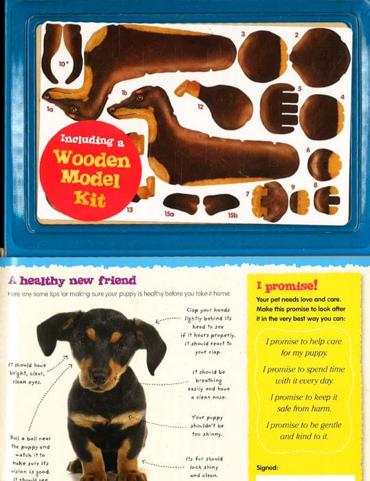 I Love Puppies: How To Look After And Understand Your Pet!