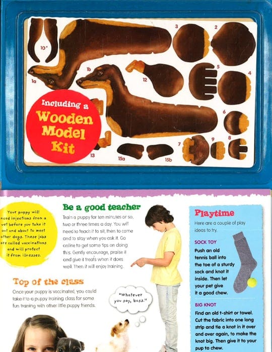 I Love Puppies: How To Look After And Understand Your Pet!