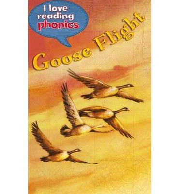 I Love Reading Phonics Level 5 : Goose Flight