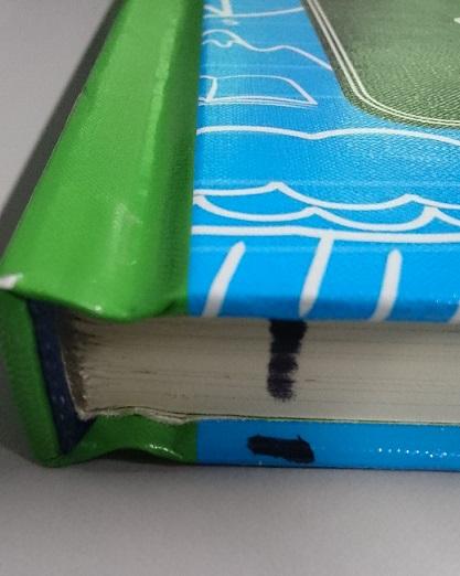 I Wish I Knew That Geography