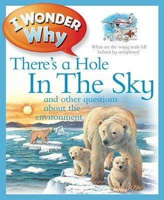 I Wonder Why: There's a Hole in the Sky