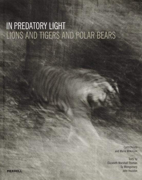 In Predatory Light: Lions And Tigers And Polar Bears