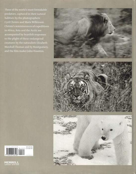 In Predatory Light: Lions And Tigers And Polar Bears
