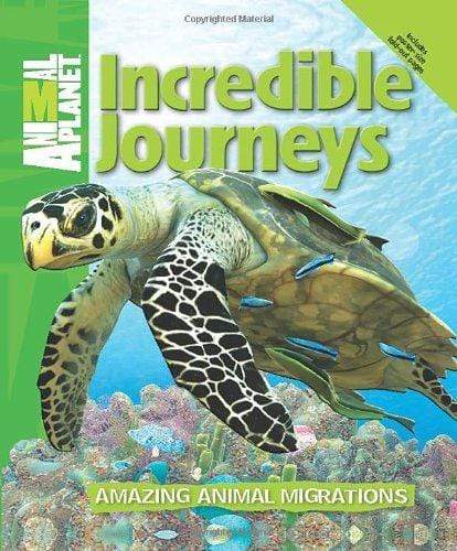 Incredible Journeys: Amazing Animal Migrations (HB)