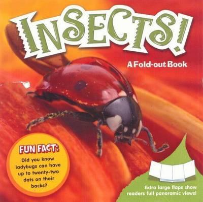 Insects! A Fold-Out Book