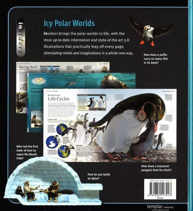 Insider: Polar Worlds