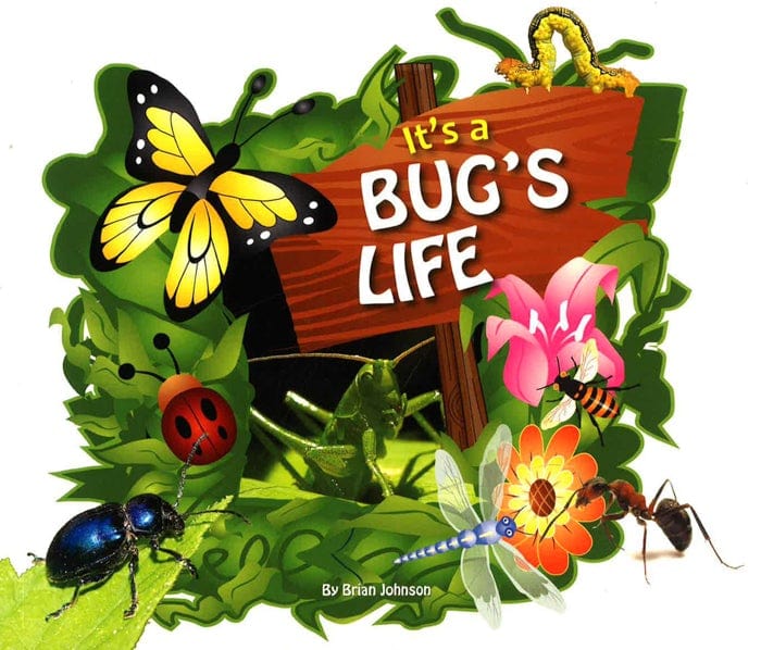 It's A Bug's Life