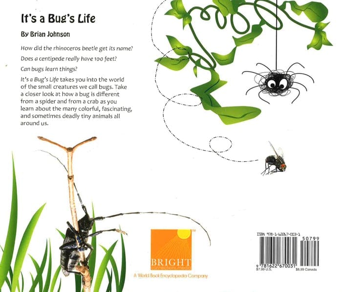 It's A Bug's Life