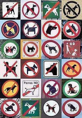 Journal:  Wanderlust Dogs