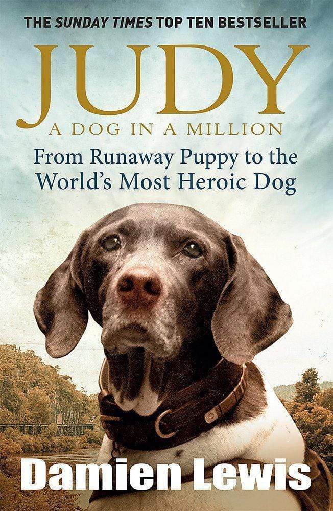 JUDY : A DOG IN A MILLION