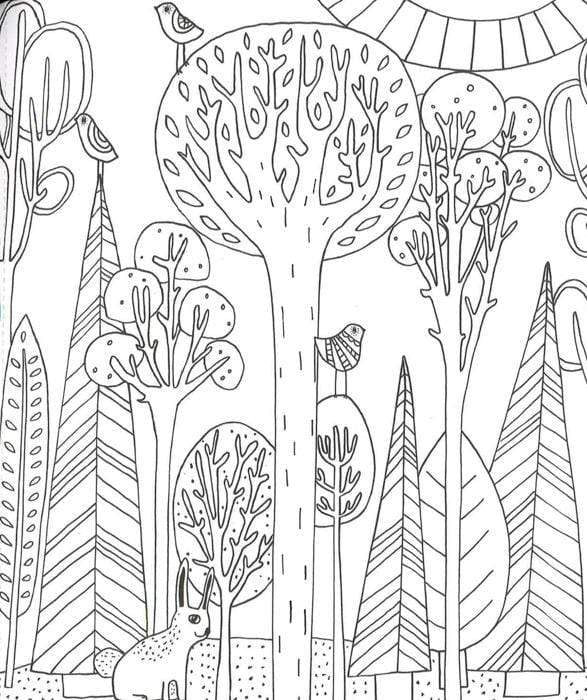 Just Add Color: Arboretum