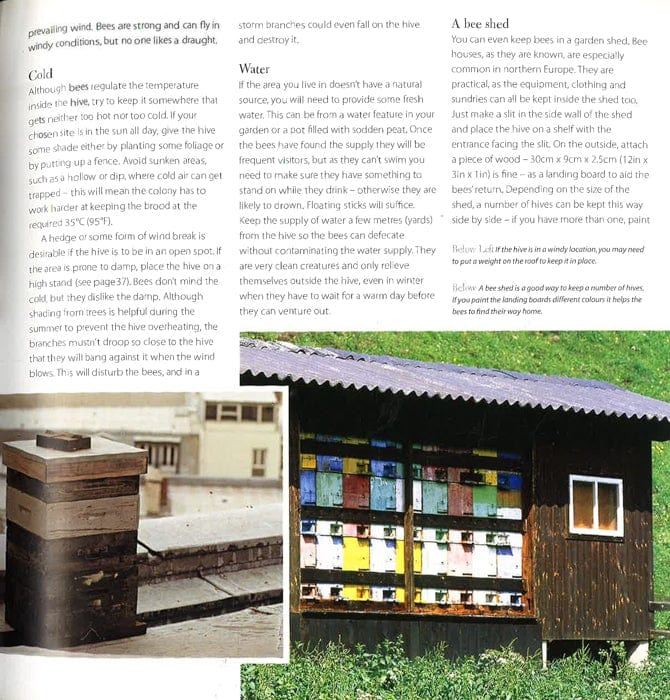 Keeping Bees And Making Honey