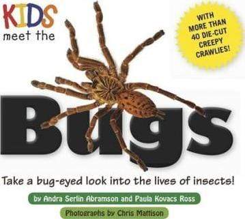 Kids Meet The Bugs