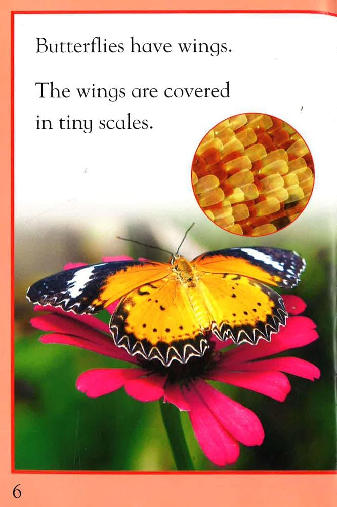Kingfisher Readers: Butterflies (Level 1: Beginning to Read)
