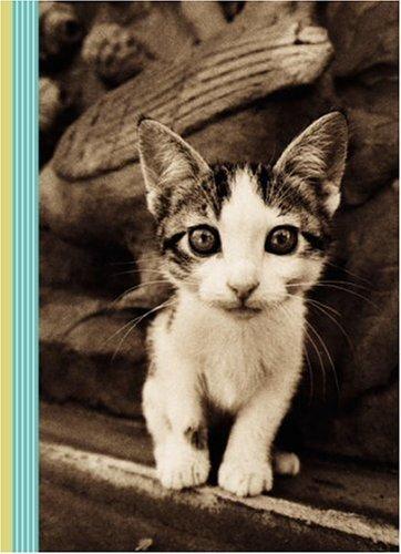 Kitten Smitten Journal