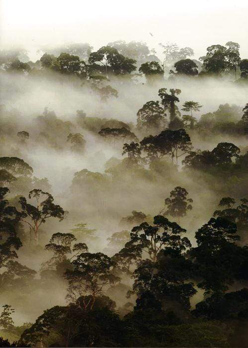 Landscapes Of The World