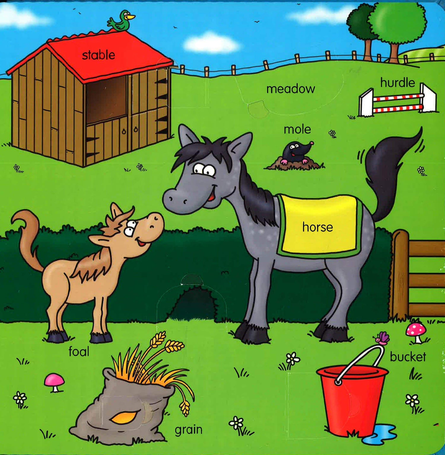 Learning Words With Pretty Pictures & Funny Flaps: Animals