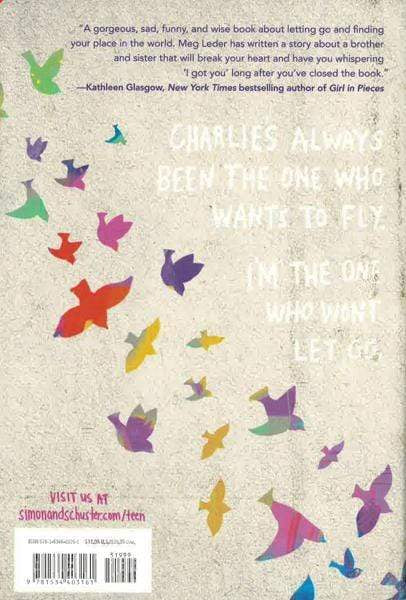 Letting Go Of Gravity