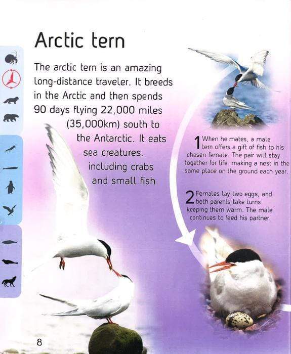 Life Cycles Polar Lands (Hb)