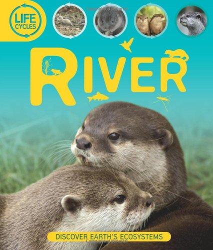 Life Cycles: River