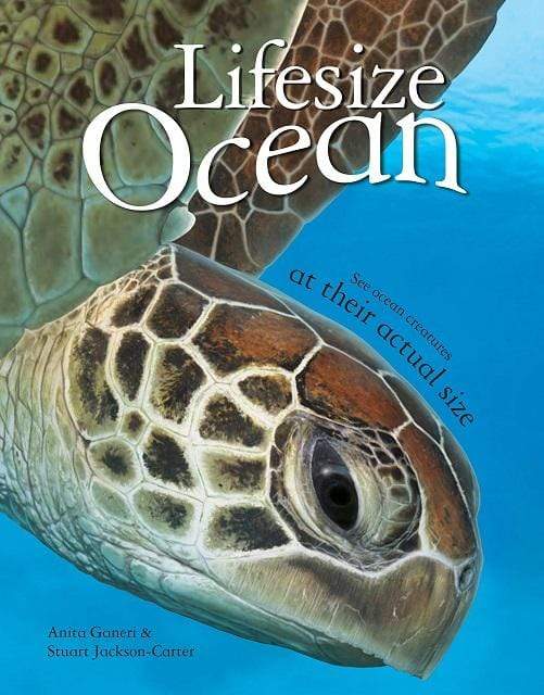 Lifesize Ocean (HB)