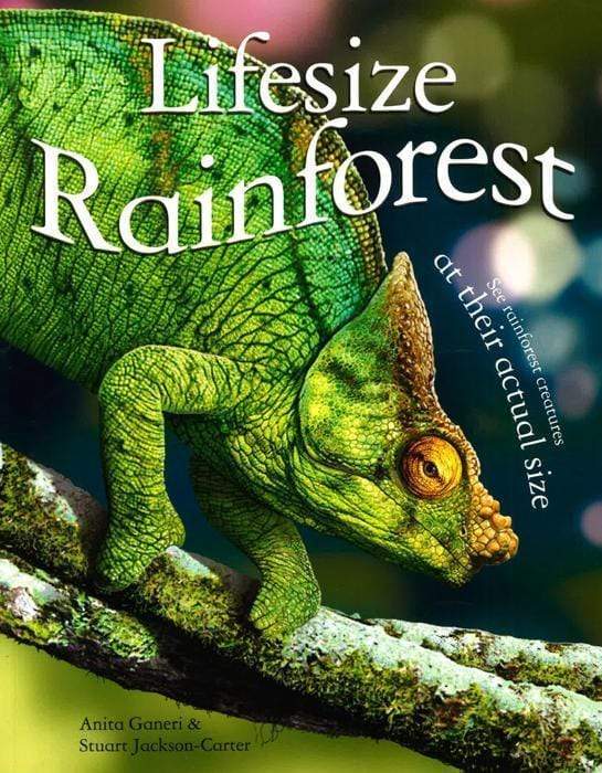 Lifesize: Rainforest