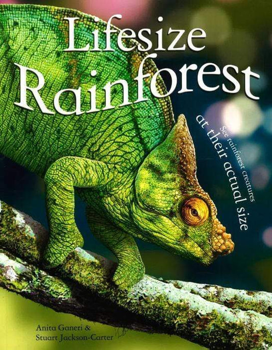 Lifesize: Rainforest
