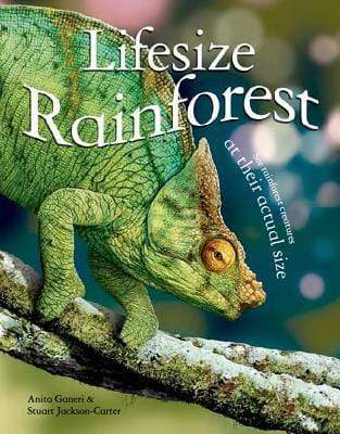Lifesize: Rainforest (HB)