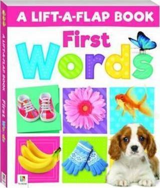 Lift-A-Flap: First Words