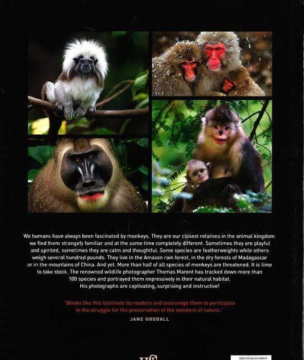 Like Us:Encounters With Primates