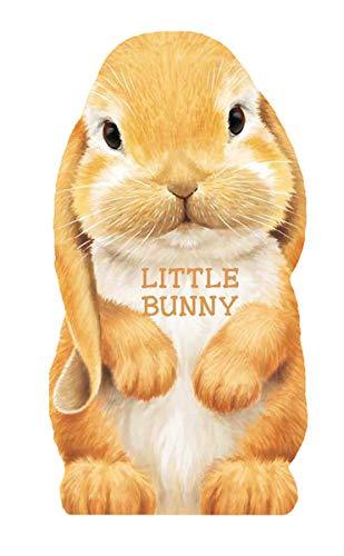 Little Bunny (Mini Look At Me Books)