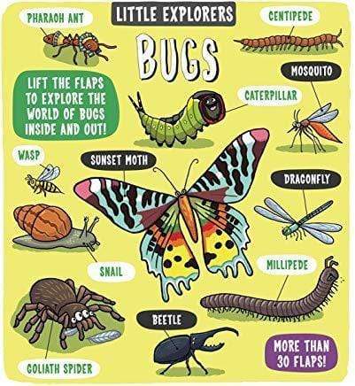 Little Explorers Bugs
