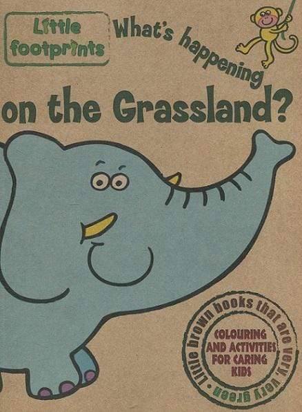 Little Footprints: What's Happening on the Grassland?