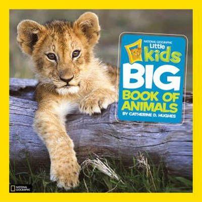 Little Kids First Big Book of Animals (HB)