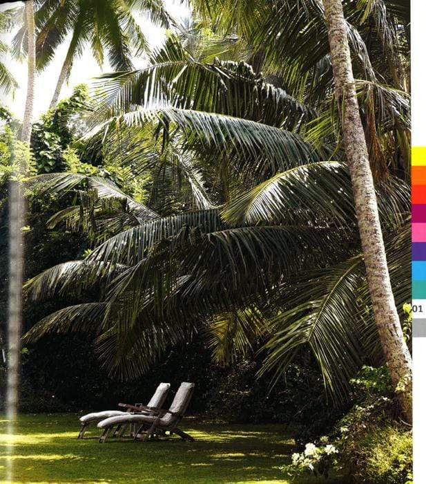 Living Modern Tropical - A Sourcebook Of Stylish Interiors (Hb)