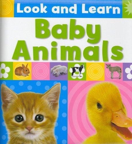 Look And Learn: Baby Animals (HB)